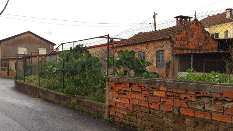 Quinhão Hereditário · Águeda · Oliveira do Bairro