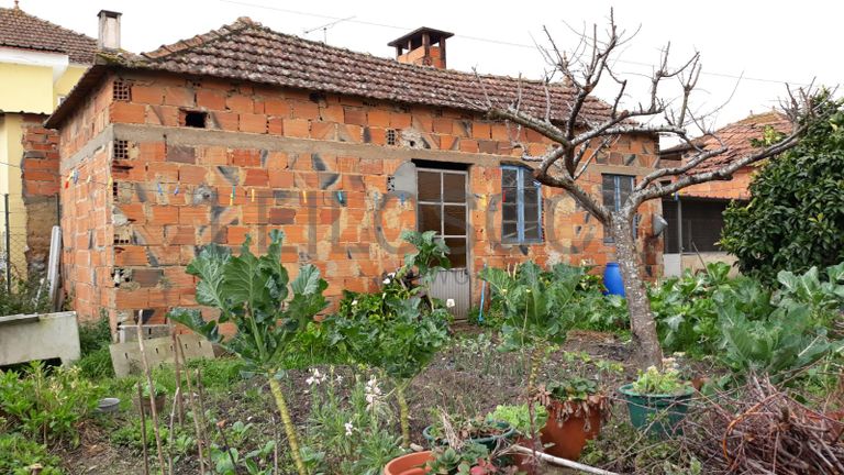 Quinhão Hereditário · Águeda · Oliveira do Bairro