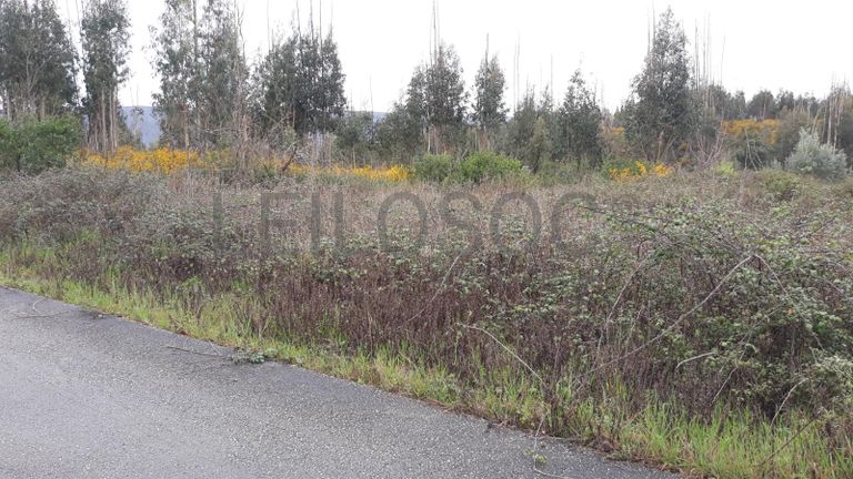 Pavilhão + Terreno · Penacova, Coimbra