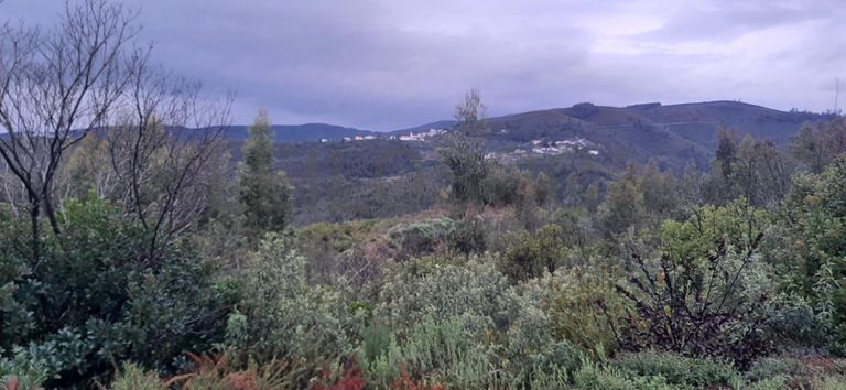 Moradia V2 · Pampilhosa da Serra, Coimbra