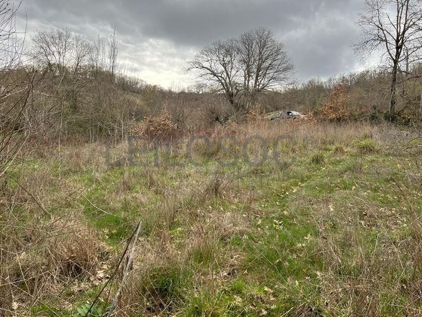 Terreno · Bragança