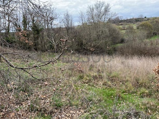 Terreno · Bragança