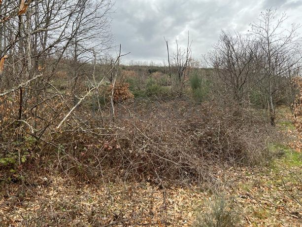 Terreno · Bragança