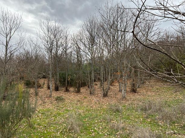 Terreno · Bragança