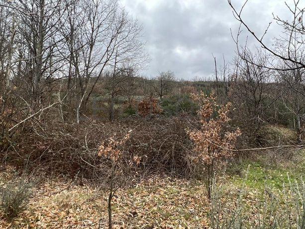 Terreno · Bragança