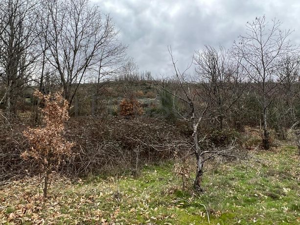 Terreno · Bragança