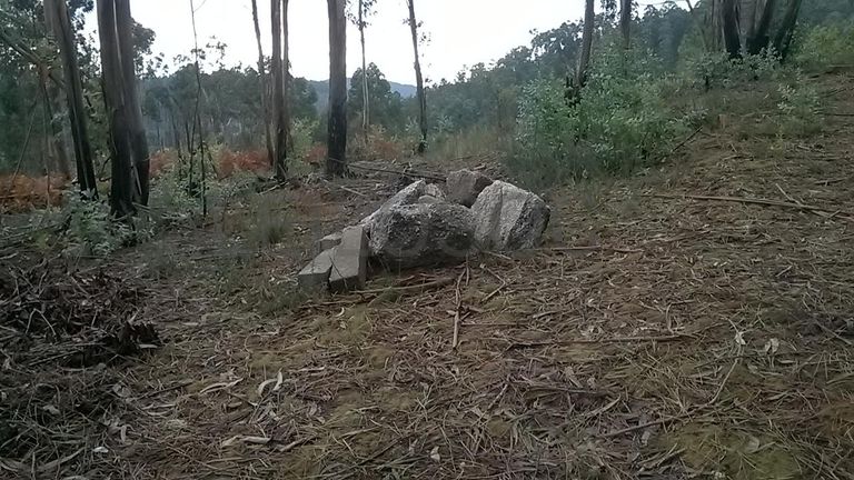 Proporção de 1/3 De Terrenos · Fafe