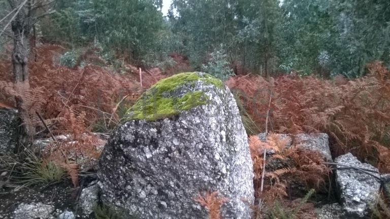 Proporção de 1/3 De Terrenos · Fafe