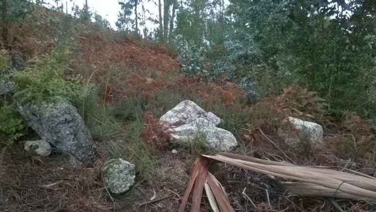 Proporção de 1/3 De Terrenos · Fafe