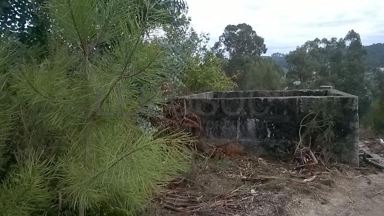 Proporção de 1/3 De Terrenos · Fafe