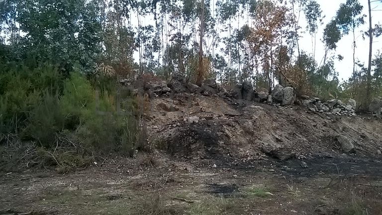 Proporção de 1/3 De Terrenos · Fafe