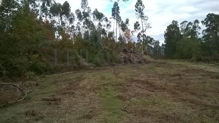 Proporção de 1/3 De Terrenos · Fafe