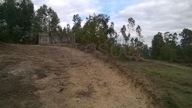 Proporção de 1/3 De Terrenos · Fafe