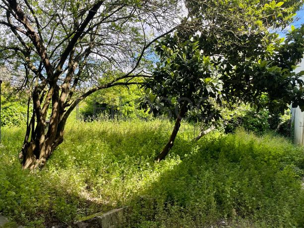 Edifício · Bustos · Oliveira do Bairro