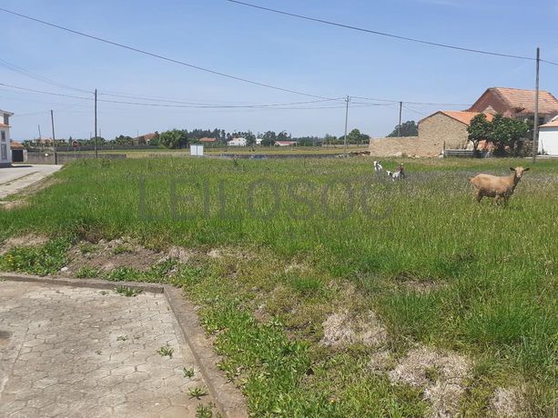 Lote para Construção · Ovar