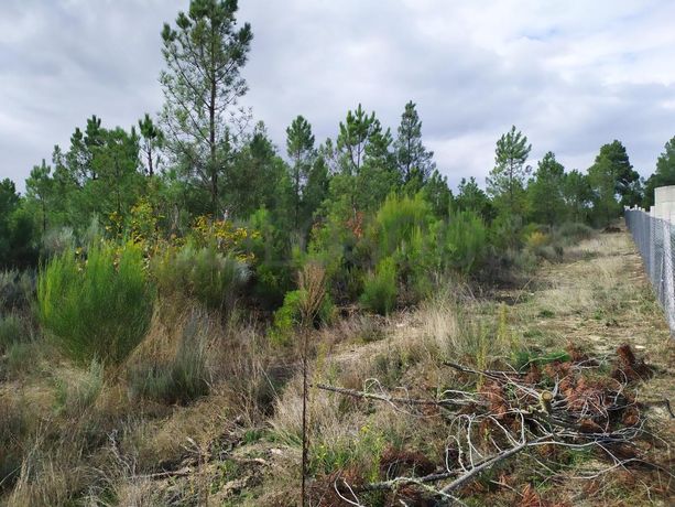 Terreno para Construção · Sernancelhe, Viseu
