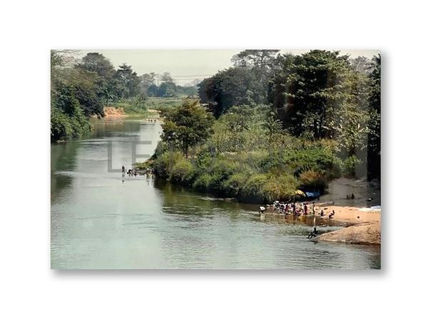 "Sem Título" · João Martins Pereira