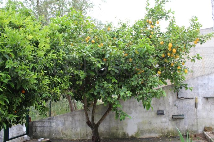 Moradia V3 · Loures