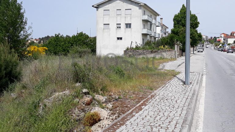 Lote para Construção · Moimenta da Beira