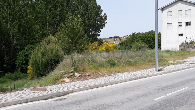 Lote para Construção · Moimenta da Beira