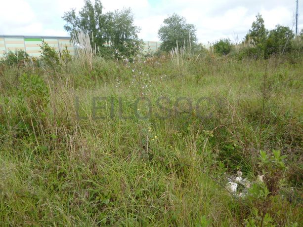 LEILÃO SUSPENSO · Terreno para Construção · Mozelos, Santa Maria da Feira