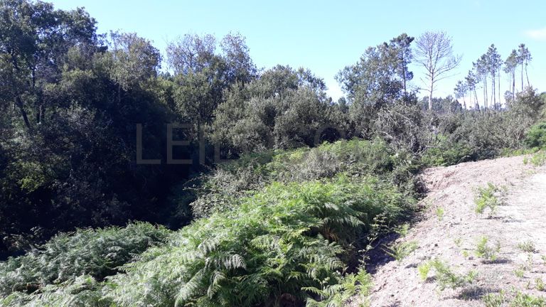 Quinhão Hereditário · Pombal