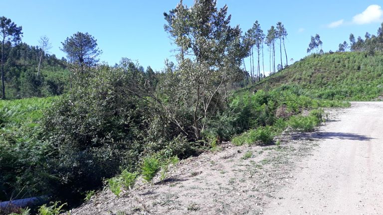 Quinhão Hereditário · Pombal