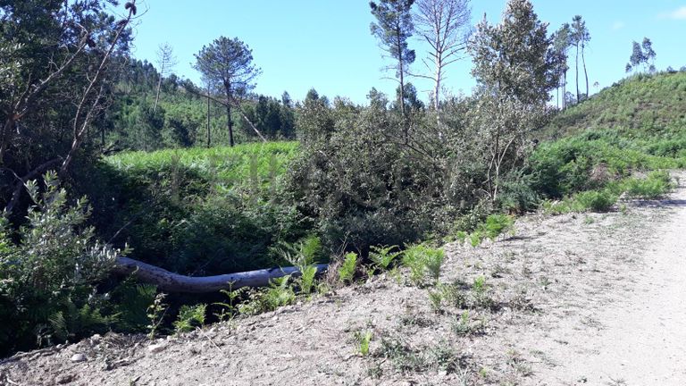 Quinhão Hereditário · Pombal