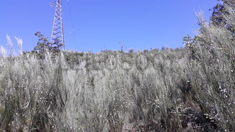 Quinhão Hereditário