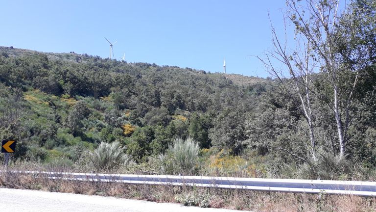 Quinhão Hereditário