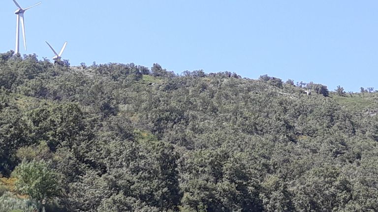 Quinhão Hereditário