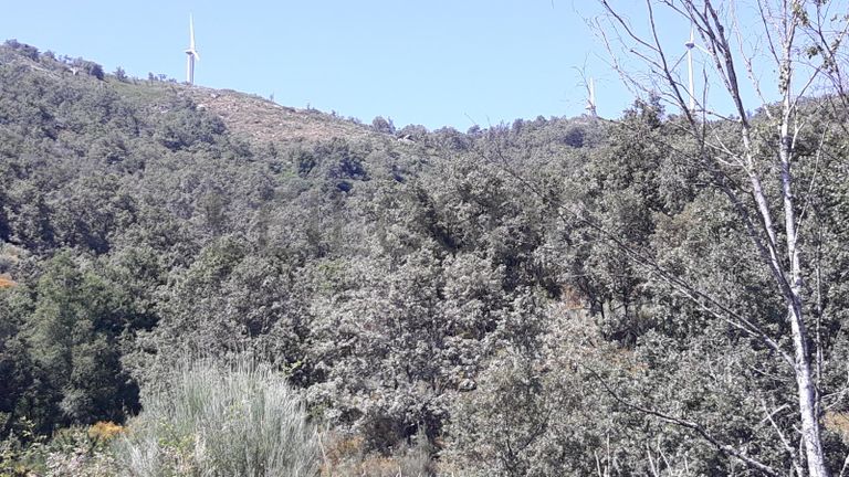 Quinhão Hereditário