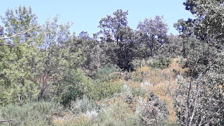 Quinhão Hereditário