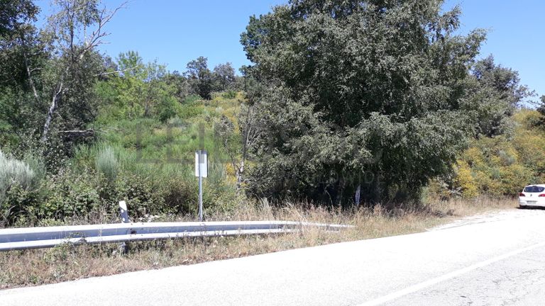 Quinhão Hereditário