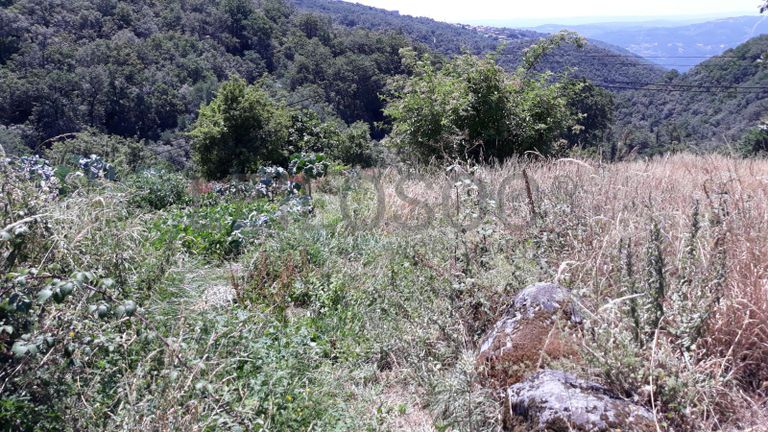 Quinhão Hereditário