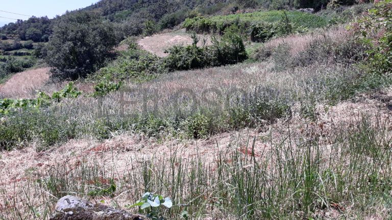 Quinhão Hereditário