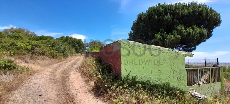 226/98720 de Terreno