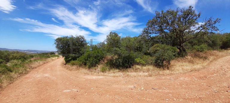 226/98720 de Terreno