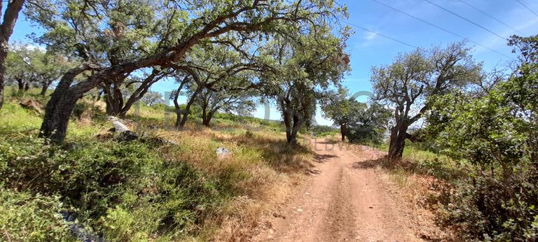 226/98720 de Terreno