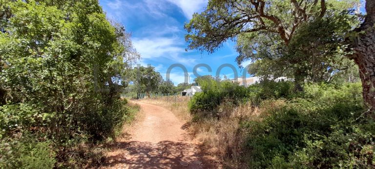 226/98720 de Terreno