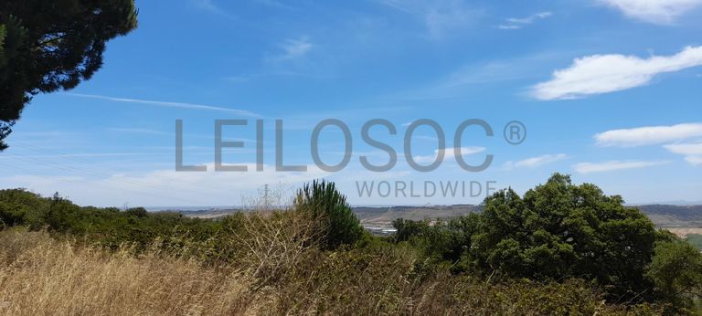 226/98720 de Terreno