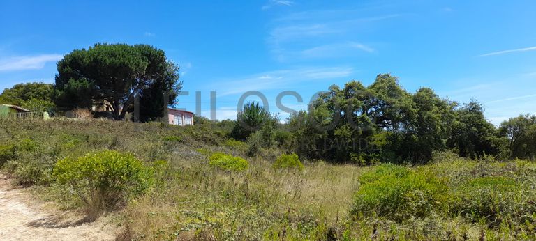 226/98720 de Terreno