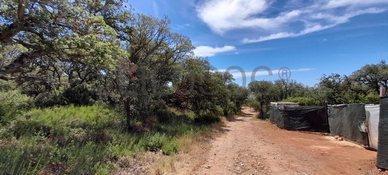 226/98720 de Terreno