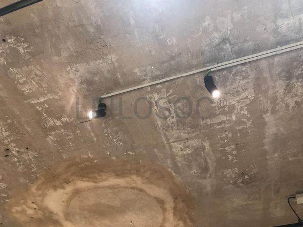 Focos, Candeeiros e Colunas