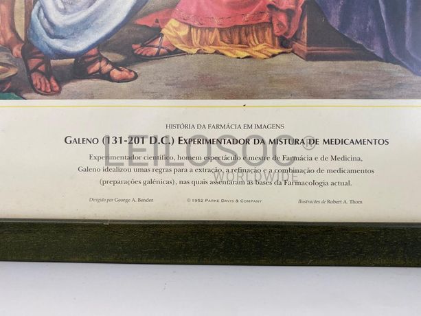 1 Quadro Fotografia Warner Collection