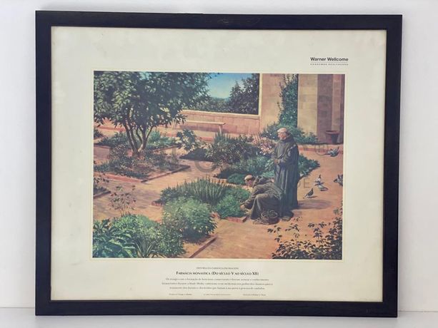 1 Quadro Fotografia Warner Collection