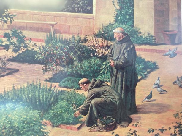 1 Quadro Fotografia Warner Collection