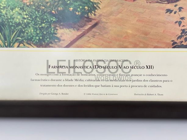 1 Quadro Fotografia Warner Collection