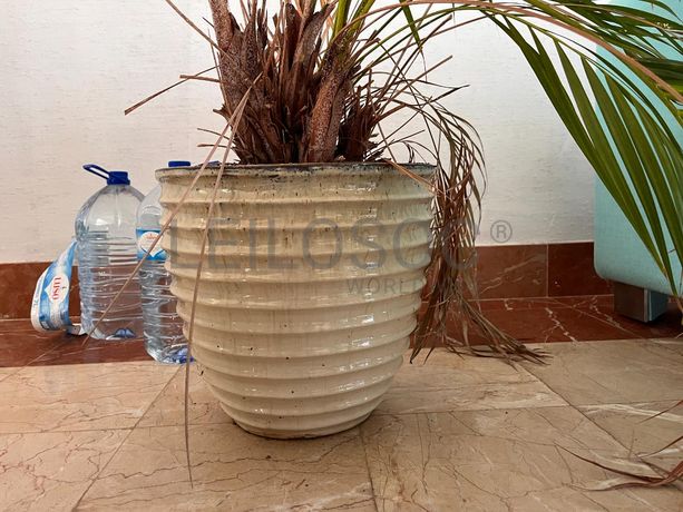 Mobiliário Receção