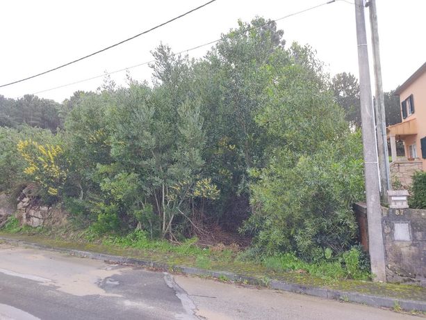 LEILÃO SUSPENSO · Lote para construção de moradia · Âncora, Caminha